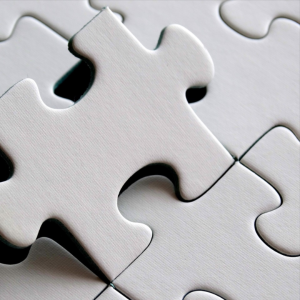 Webinaire professionnel - Le chaînon manquant