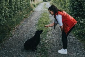 Obtenez plus avec moins : Petit guide de la réduction de récompenses