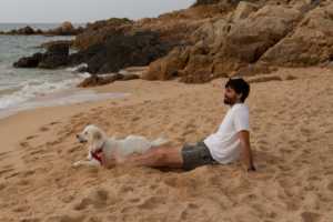 Activer le mode Pause – Cultiver le calme chez le chien