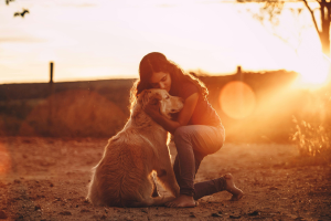 Émotions partagées : le rôle de l’humain dans la gestion de la réactivité du chien