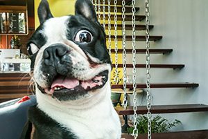 Séminaire - [Trousse ultime] Survivre à l'arrivée des invités!