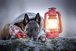 Séminaire : Le traitement de cas complexes - Le diable est dans les détails