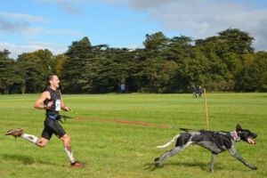 Webinaire : Devenir un PRO du canicross – Présenté par un champion du monde